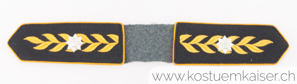 Achselklappen Brigadier Ord. 1949 #1999